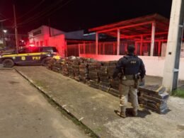 Apreendidas quase duas toneladas de maconha escondidas em carga de papel no Paraná