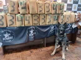Apreendidos 704 quilos de haxixe no Paraná