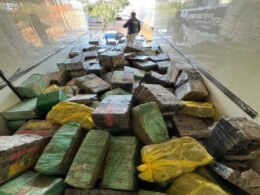 PRF apreende quase 8 toneladas de maconha e faz a maior apreensão do ano no Paraná