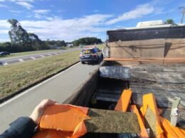 Apreendida mais de uma tonelada de maconha em caminhão na BR-277, em Campo Largo (PR)