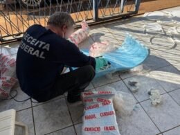 Receita Federal apreende R$ 1,6 milhão em drogas ocultas em carga de produtos para piscina