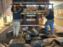 Quase quatro toneladas de maconha são apreendidas em duas carretas com placas paraguaias na BR-277