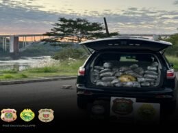 Apreendidos 26 quilos de capulho às margens do rio Paraná, em Foz do Iguaçu