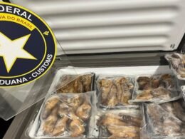 Carga com moluscos exóticos é retida no Aeroporto Internacional de Foz do Iguaçu.