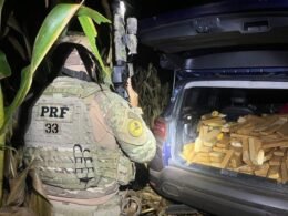 Após tentativa de fuga, PRF apreende 600 kg de maconha em Cascavel