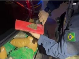 Mais de meia tonelada de maconha e carro roubado são apreendidos em Santa Terezinha de Itaipu.
