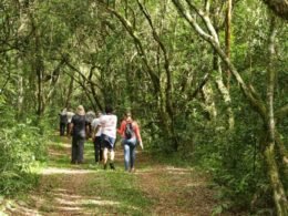 Rota histórica Caminhos do Peabiru avança com oficinas em 97 municípios do Paraná