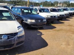 Lances do leilão com 306 veículos começa na próxima segunda