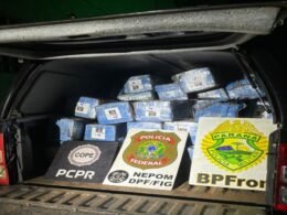 Mais de 700 kg de maconha são apreendidos às margens do Lago de Itaipu