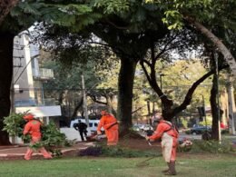 Praça Naipi passa por revitalização e ganha novo olhar da comunidade em Foz do Iguaçu