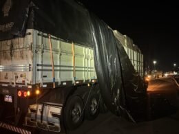 Apreendidos 4,5 toneladas de maconha em caminhão na BR-277