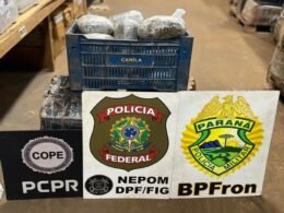 Quase 100 kg de drogas são apreendidos em porto clandestino no rio Paraná