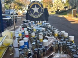 Apreendidos cerca de R$15 mil em anabolizantes e medicamentos para obesidade em São Miguel do Iguaçu
