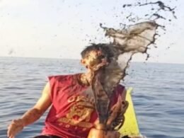 “Banho” de lula: pescador leva jato de tinta no rosto e arranca risadas ; veja vídeo