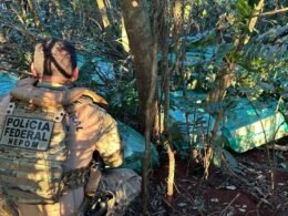 Cigarros contrabandeados do Paraguai são apreendidos em operação em Itaipulândia