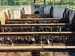 Operação limpeza na Estação de Retenção de Resíduos