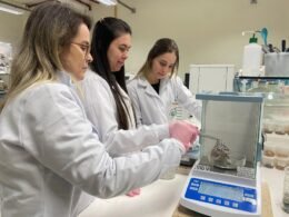 Resíduos da tilápia podem virar colágeno em projeto inovador da Unioeste