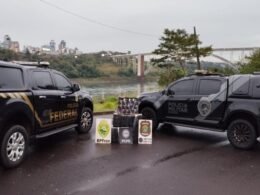 Operação integrada apreende cigarros, pneus e 251 kg de maconha na região do rio Paraná