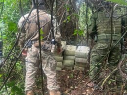 Mais de 270 kg de maconha são apreendidos na região do lago de Itaipu