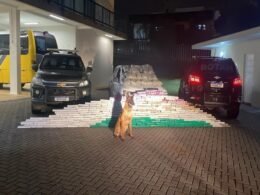 Traficante é preso com carga milionária de maconha após perseguição na BR-163