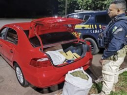 Homem é detido com maconha após fiscalização da PRF em Santa Terezinha de Itaipu