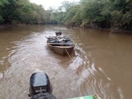 Quatro pessoas são detidas por pesca e caça ilegais no Parque Nacional do Iguaçu