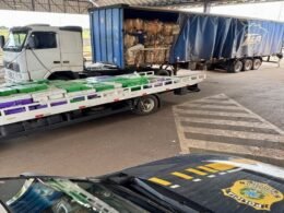 Caminhão com carga de papelão escondia 2,7 toneladas de maconha