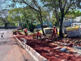 Nova etapa da revitalização na Avenida JK chega à região central