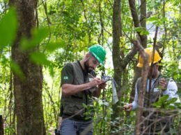 Em 40 anos, Itaipu triplica a diversidade vegetal da faixa de proteção do reservatório