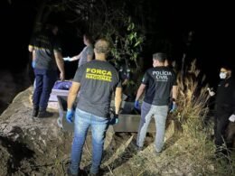 Quatro corpos foram encontrados sob galhos e vegetação em uma área rural de Icaraíma (PR)
