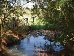 Hoje, a Secretaria de Meio Ambiente promove ação pelo Dia Mundial de Rios, Praias e Lagoas