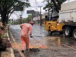 Vendaval com chuvas fortes causa quedas de árvores e alagamentos em Foz do Iguaçu