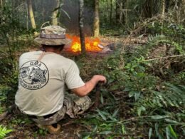 Crimes ambientais: fiscalização destrói cevas e acampamentos usados por caçadores no Parque Nacional