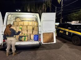 Apreendido “caminhão delivery de maconha” com mais de uma tonelada na BR-277