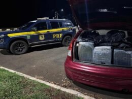 Em menos de 24h, PRF captura foragido e intercepta carregamento de 416 kg de maconha na BR-277