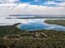 Mais de 100 mil hectares preservados: Itaipu apresenta modelo de restauração na COP30