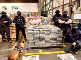 Receita Federal encontra quase 1 tonelada de cocaína em carga de madeira