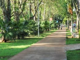 Avenida Paraná ganha faixa elevada de pedestres; trânsito será parcialmente interrompido