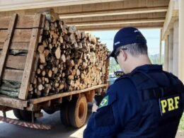 Motorista de caminhão usa corda no lugar do cinto de segurança no Paraná