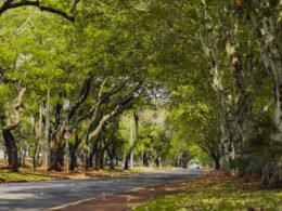 A partir de 19 de outubro, “Domingo na Rua” será realizado das 8h30 às 13h