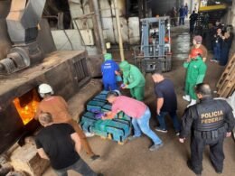 Mais de 11 toneladas de drogas são destruídas em operação da Polícia Federal em Foz do Iguaçu