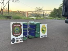 Apreendidos cigarros contrabandeados e drogas na região do Marco das Três Fronteiras