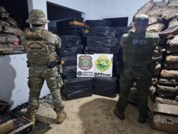 Apreendidos 200 mil maços de cigarros e 8 toneladas de carvão