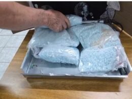 Quase 20 mil comprimidos de ecstasy e cocaína são apreendidos em fogão cooktop em transportadora