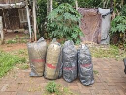 Suspeitos fogem e abandonam 92 quilos de maconha na margem brasileira do Rio Paraná