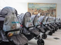 Primeiros kits do programa Nascer Bem Paraná serão entregues em três municípios na próxima semana