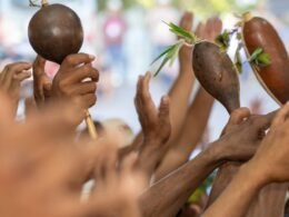 Estado Brasileiro e Itaipu Binacional publicam pedido de desculpas ao povo Avá-Guarani