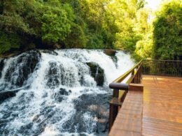 Espaço Usina resgata a história e amplia experiências para visitantes das Cataratas