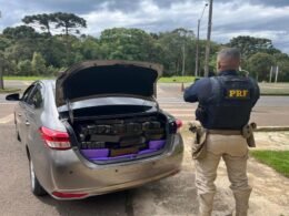 PRF apreende 360 quilos de maconha e recupera carro furtado