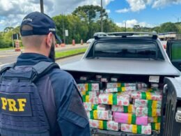 Jovem de 18 anos é preso transportando mais de 600 quilos de maconha na BR-277
